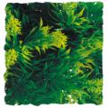 D. CR PLASTIČNA RASTLINA ZA TERARIJE MALAYSIAN FERN 28 CM
