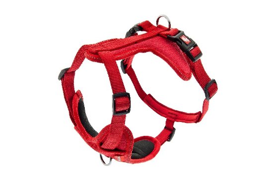 FB OPRSNICA CESARE XS 1,5CM RDEČA