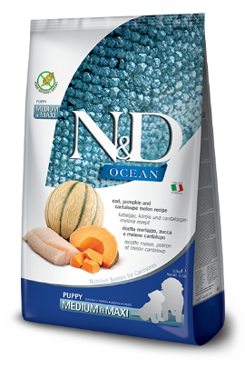 N&D Ocean Puppy Cod &Cantaloupe Melon Med/Maxi