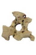 CR Amtra dekoracija Gallura kamen z luknjo, bež 17x8x14,5 cm