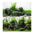 CR OZADJE ZA AKVARIJ AMAZONIA BLISTER 45x100 cm
