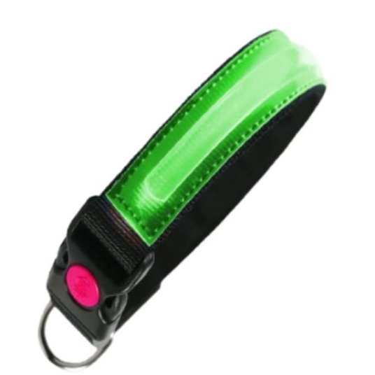 PI ovratnica LED, najlon, S, zelena, 1,5  x 34–38 cm