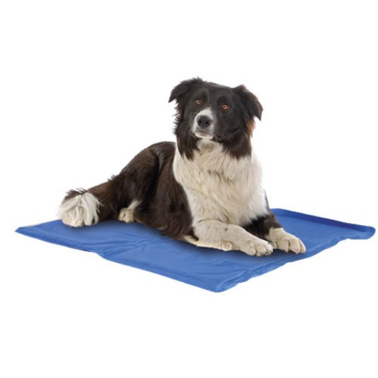 CR HLADILNA PODLOGA MAT FRESH 40 X 30 CM