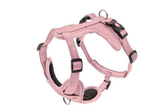 FB OPRSNICA CESARE L 2,5CM ROZA