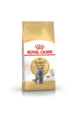 RC FBN BRITISH SHORTHAIR