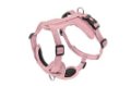 FB OPRSNICA CESARE M 2CM ROZA
