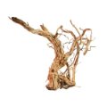 CR WOOD DRAGON SKIN MD